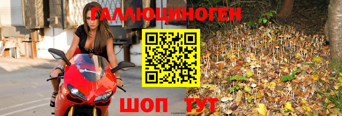 Псилоцибиновые грибы Psilocybine cubensis  Вход с VPN  Псилоцибиновые грибы MAGIC MUSHROOMS  Рыбинск 