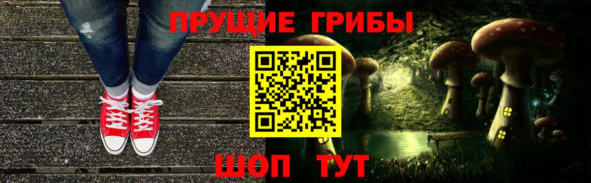 Галлюциногенные грибы Psilocybe Рыбинск